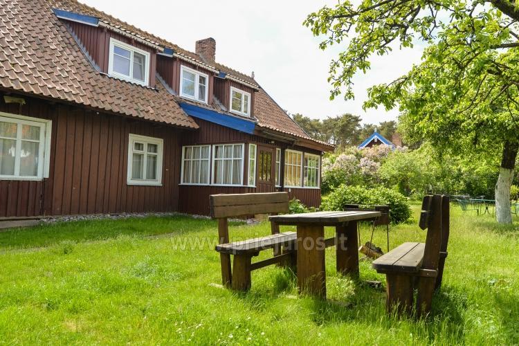 Apartamentai Emilija Nida Dış mekan fotoğraf